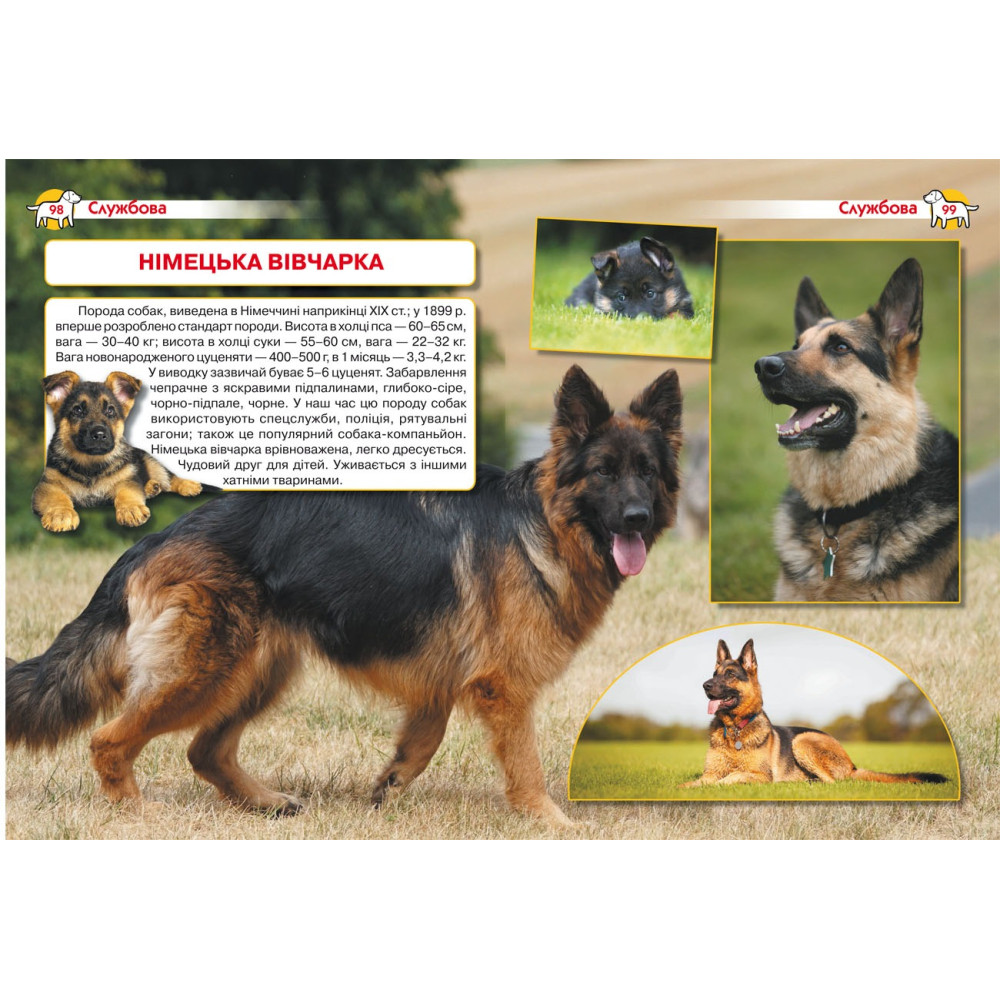 Книга "Енциклопедія. Собаки"