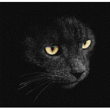 Набір для розпису по номерах "Погляд хижака"" 40х40см KHO4204