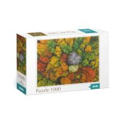 Пазл «Село Дземброня. Україна» 1000 ел 301178