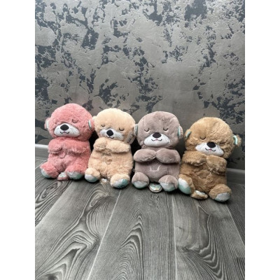 Видреня Нічник 19052024 25см