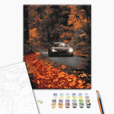 Картина за номерами Осіння дорога 40x50 см BS53291