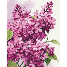 Набір для розпису "Бузок" 40x50 см 13083-AC