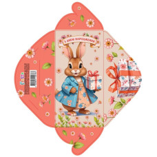 Конверт для грошей розмір 8,4х16,7 см КВ 24-138