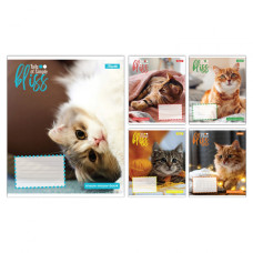 Зошит учнівський шкільний 1 Вересня Bliss А5 12 аркушів коса лінія (768053)