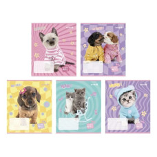Зошит шкільний Kite Studio Pets 12 аркушів клітинка (SP25-232)