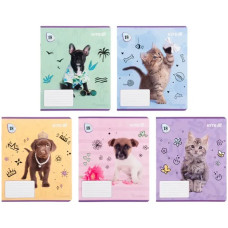 Зошит шкільний Kite Rachael Hale 18 аркушів клітинка (R25-236)