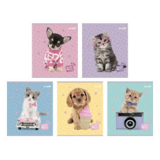 Зошит шкільний Kite Studio Pets 24 аркуші клітинка (SP25-238)