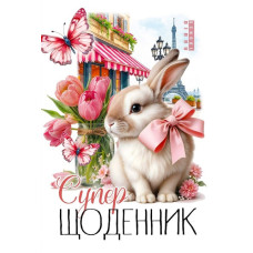 Щоденник на Скобі, Обкладинка повнокольорова CMYK, ВД- лак, 160х235 мм, 40 аркушів 25101