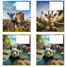 Зошит шкільний Школярик 18 аркушів лінія (73013)