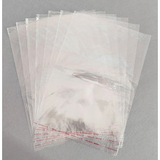 Пакет з поліпропілену 24x33 см 231647