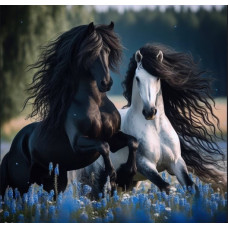 Алмазна мозаїка «Пара скакунів», 20*20см, на рамці, в кор. 21*21*2,5см, ТМ Dreamtoys