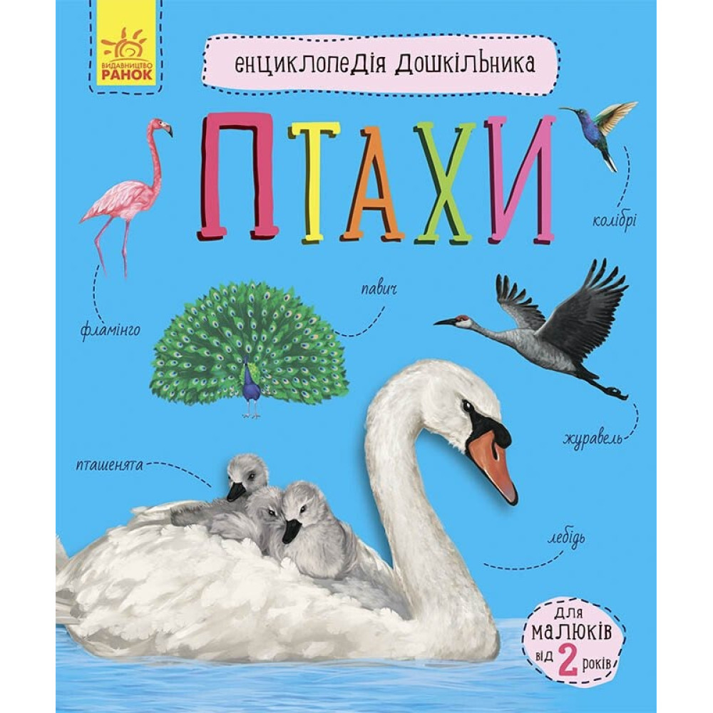 Енциклопедія дошкільника (нова) : Птахи (у)(94.9)