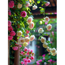 Алмазна мозаїка "Кучерява троянда", 30*40см, на рамці, в кор. 31*41*2,5см, ТМ Dreamtoys