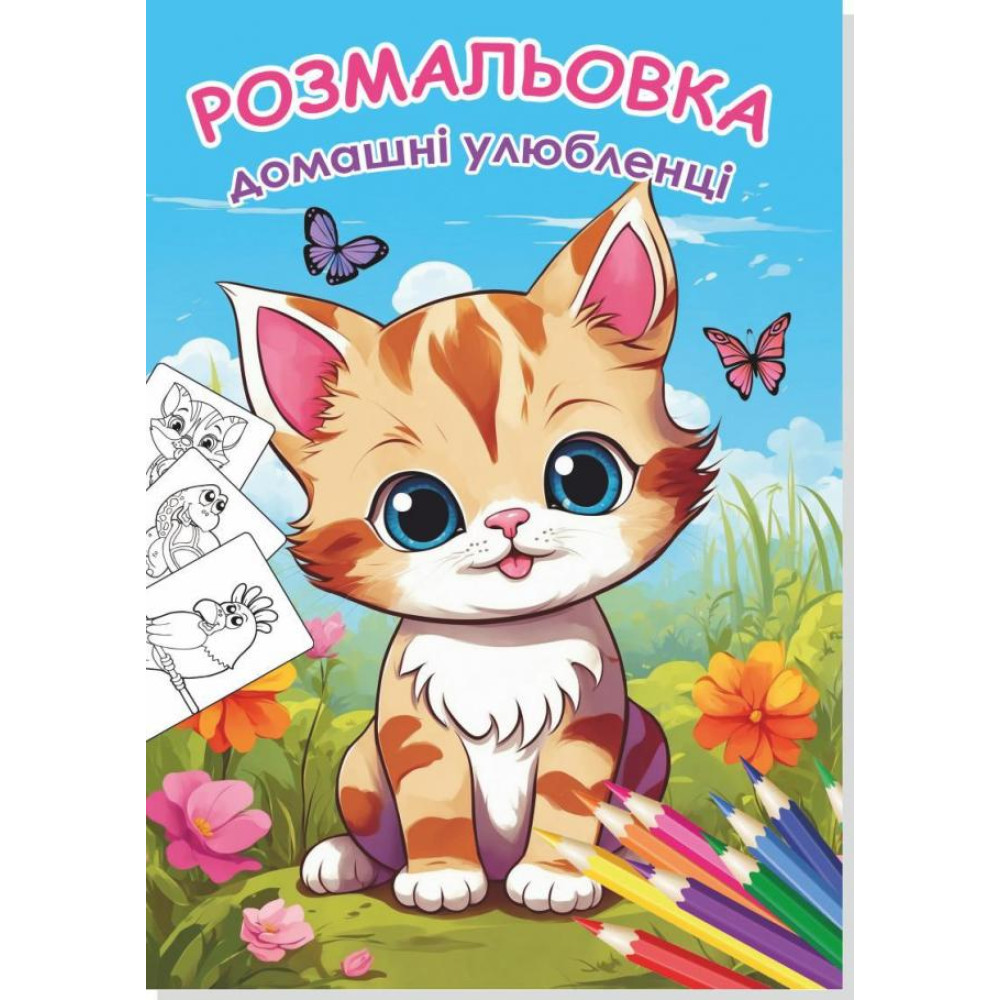 Книжка розмальовка ДОМАШНІ УЛЮБЛЕНЦІ (10уп) 0551