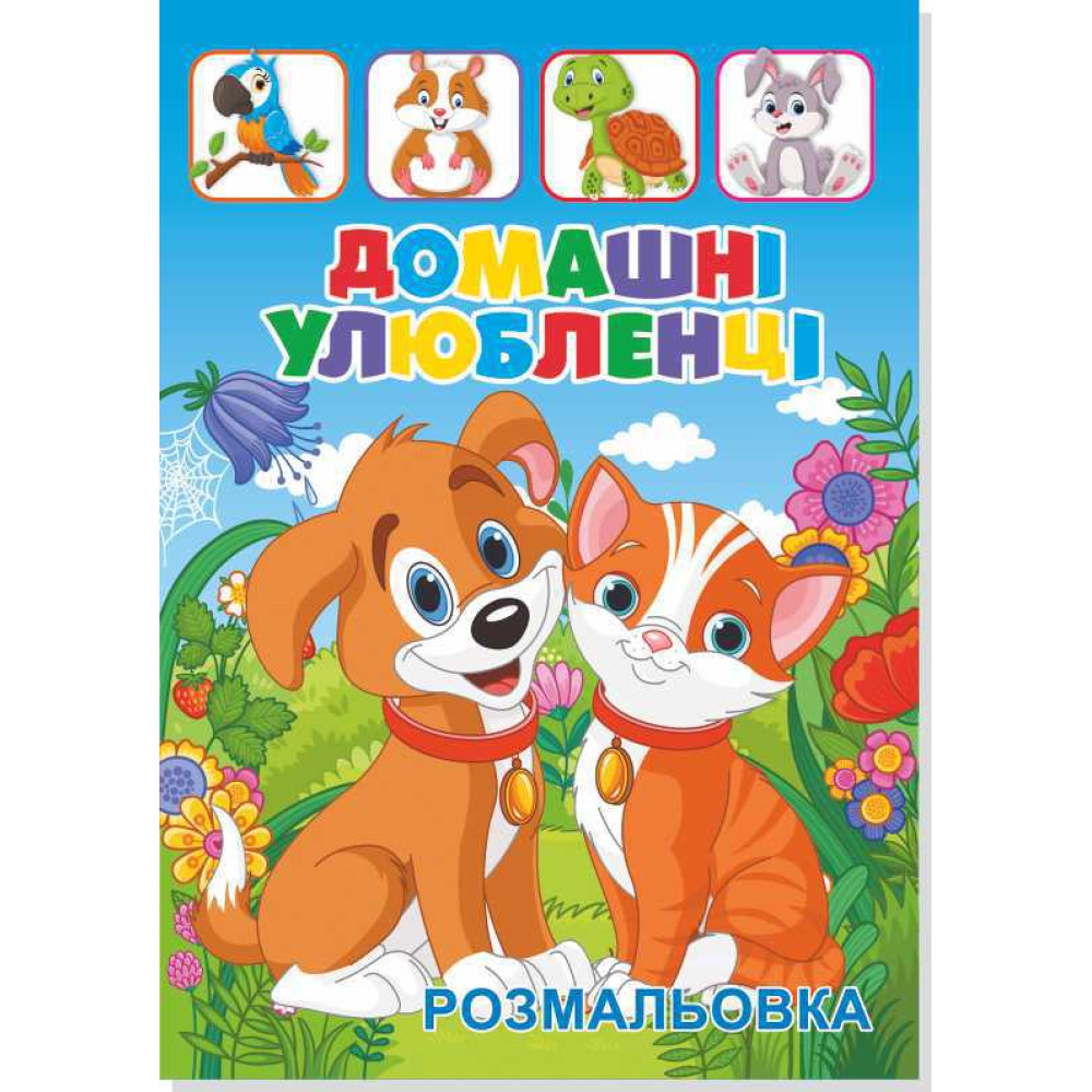 Книжка розмальовка ДОМАШНІ УЛЮБЛЕНЦІ (10уп) 0551