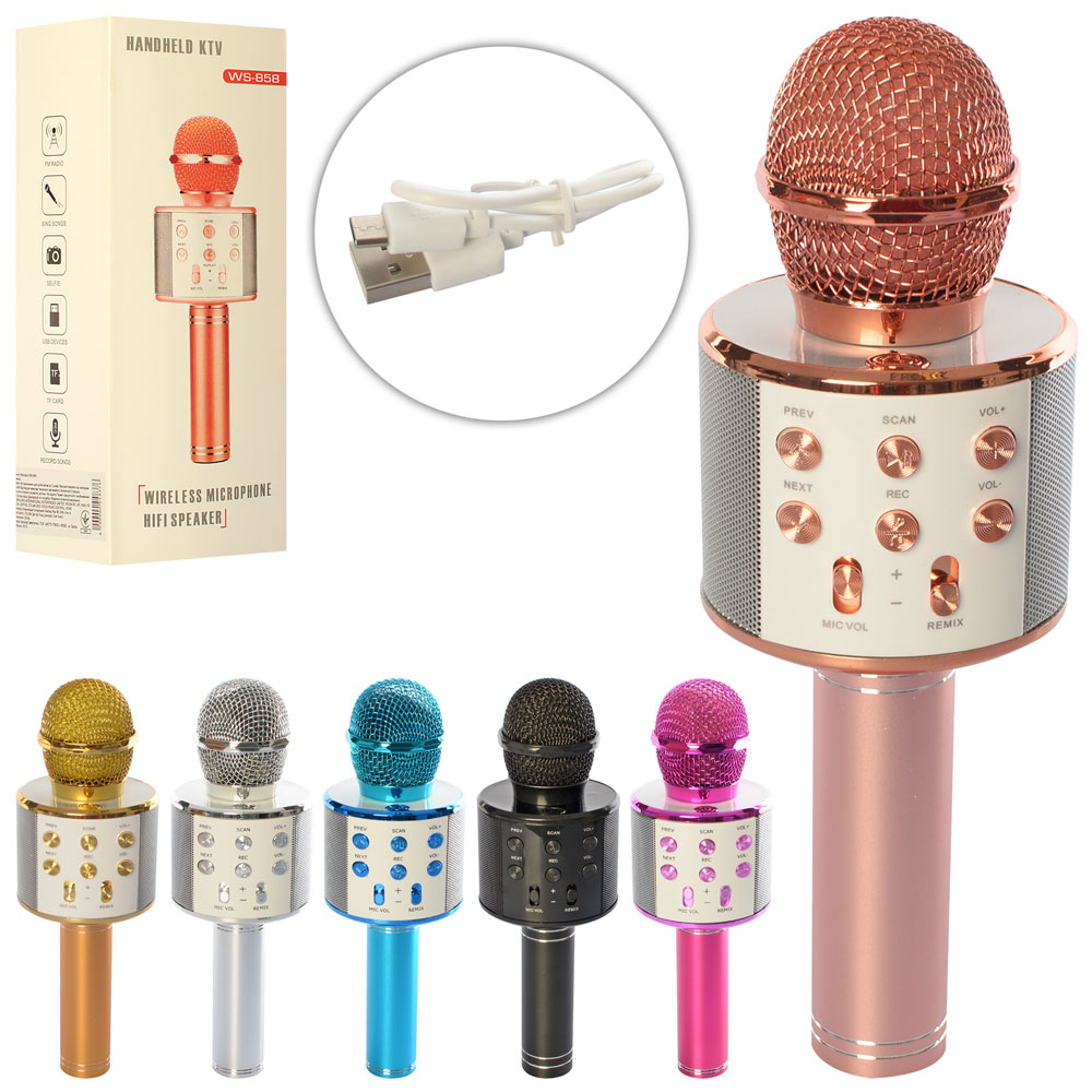 Мікрофон (20шт) ws858 акум, 23см, USB, Bluetooth, в коробці,