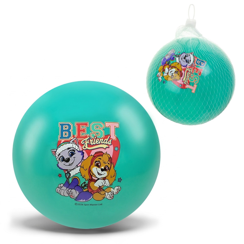 М'яч гумовий арт. PP2520 (400шт)  Paw Patrol 6'' 50 гр блакитний