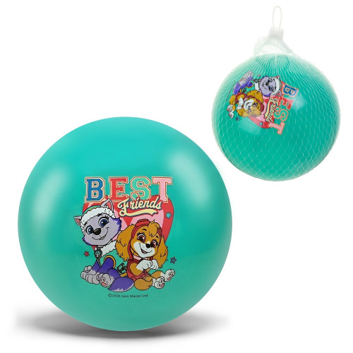 М'яч гумовий арт. PP2520 (400шт)  Paw Patrol 6'' 50 гр блакитний