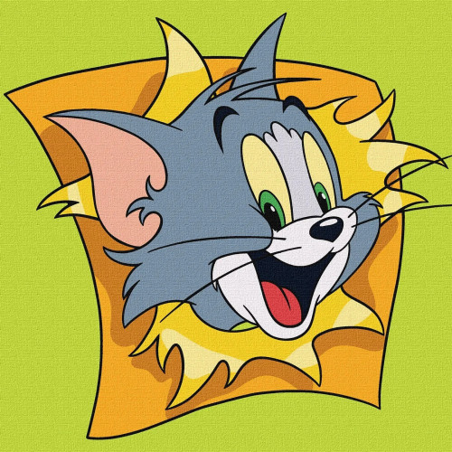 Набір для розпису по номерах для дітей WB "Tom and Jerry: Веселі пригоди" 25х25см KHO1366
