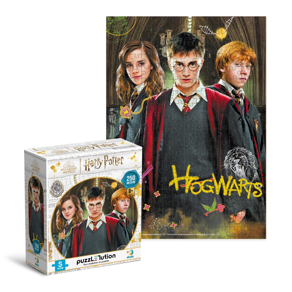 Пазл Medium-S «Harry Potter. Гаррі та друзі», 250 елементів