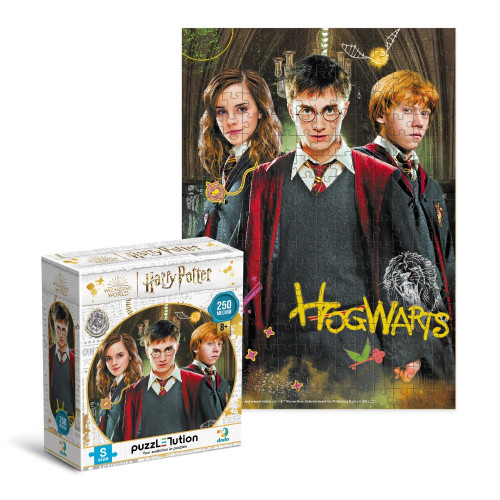 Пазл Medium-S «Harry Potter. Гаррі та друзі», 250 елементів