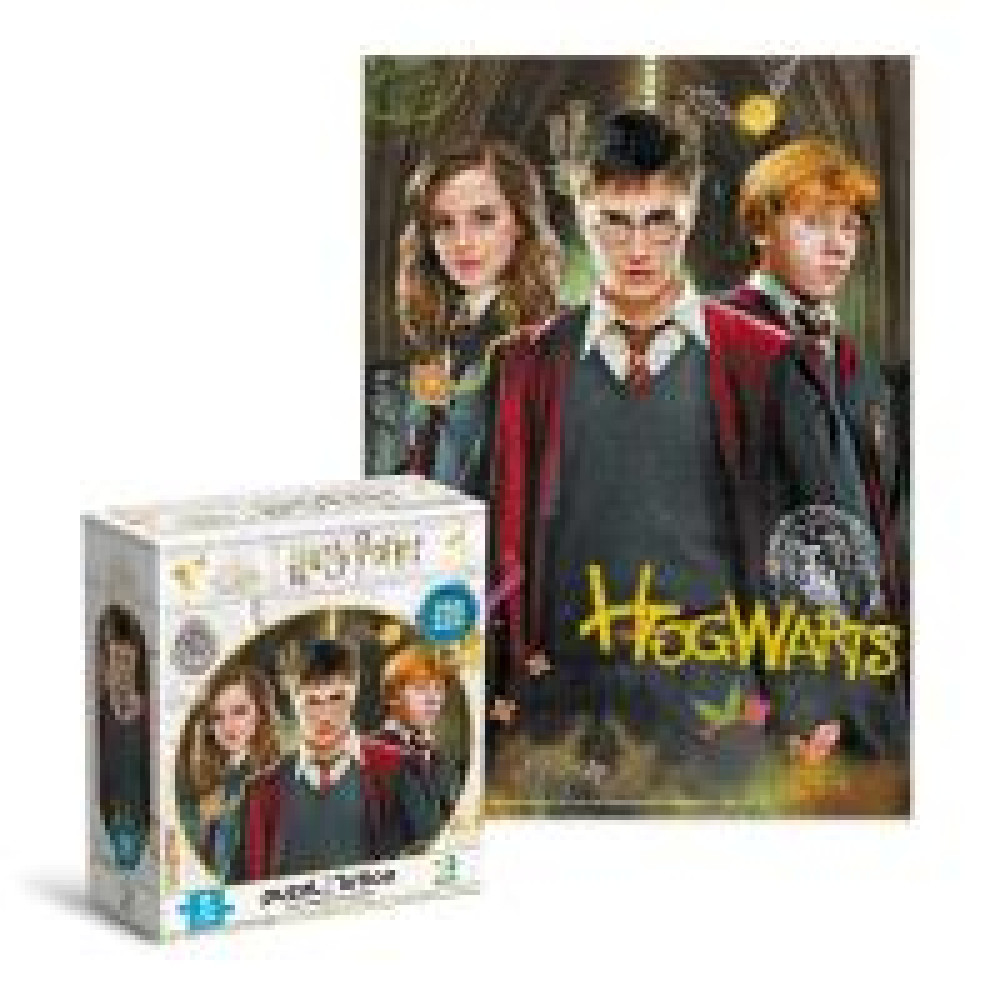 Пазл Medium-S «Harry Potter. Гаррі та друзі», 250 елементів