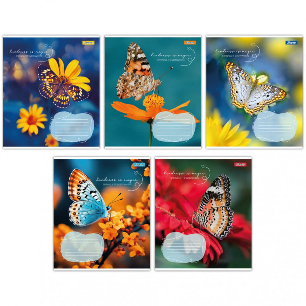 Зошит шкільний А5/36 кл 1В Butterfly 767323