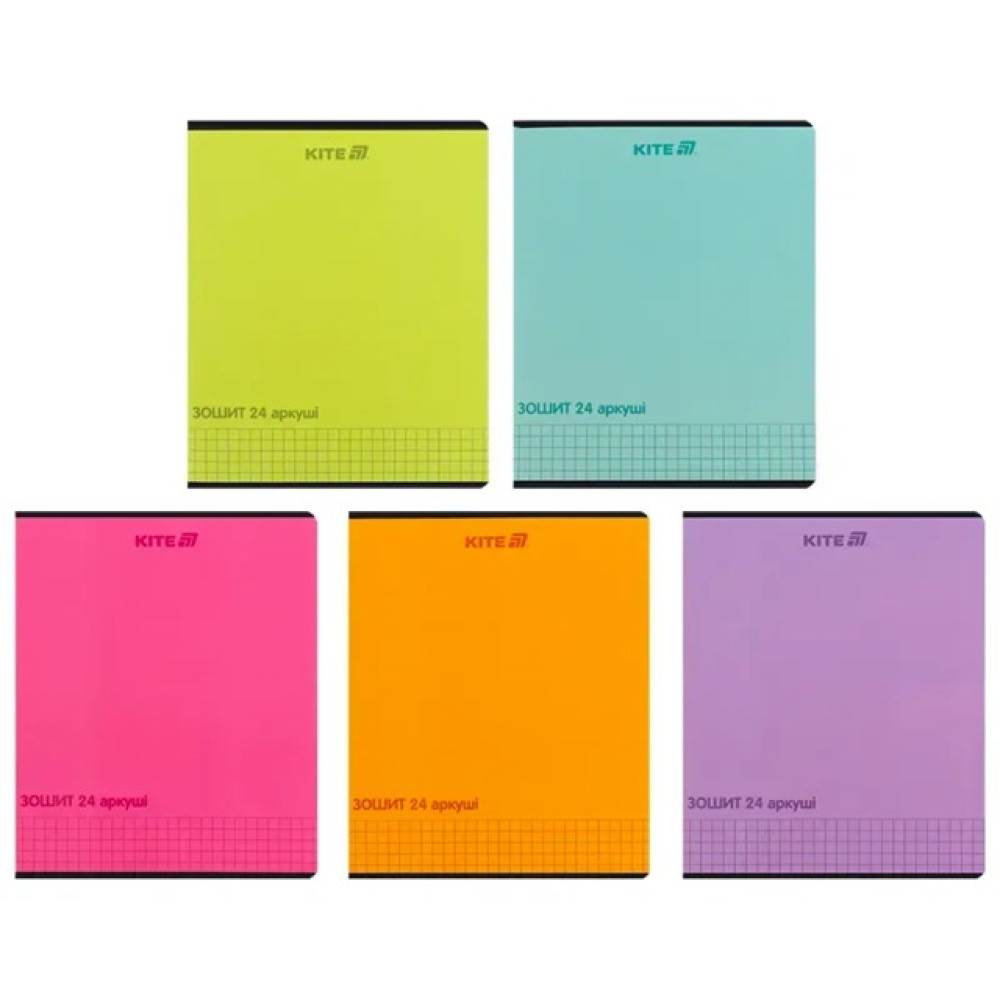 Зошит шкільний Kite One color 24 аркуші клітинка (K25-238-2)