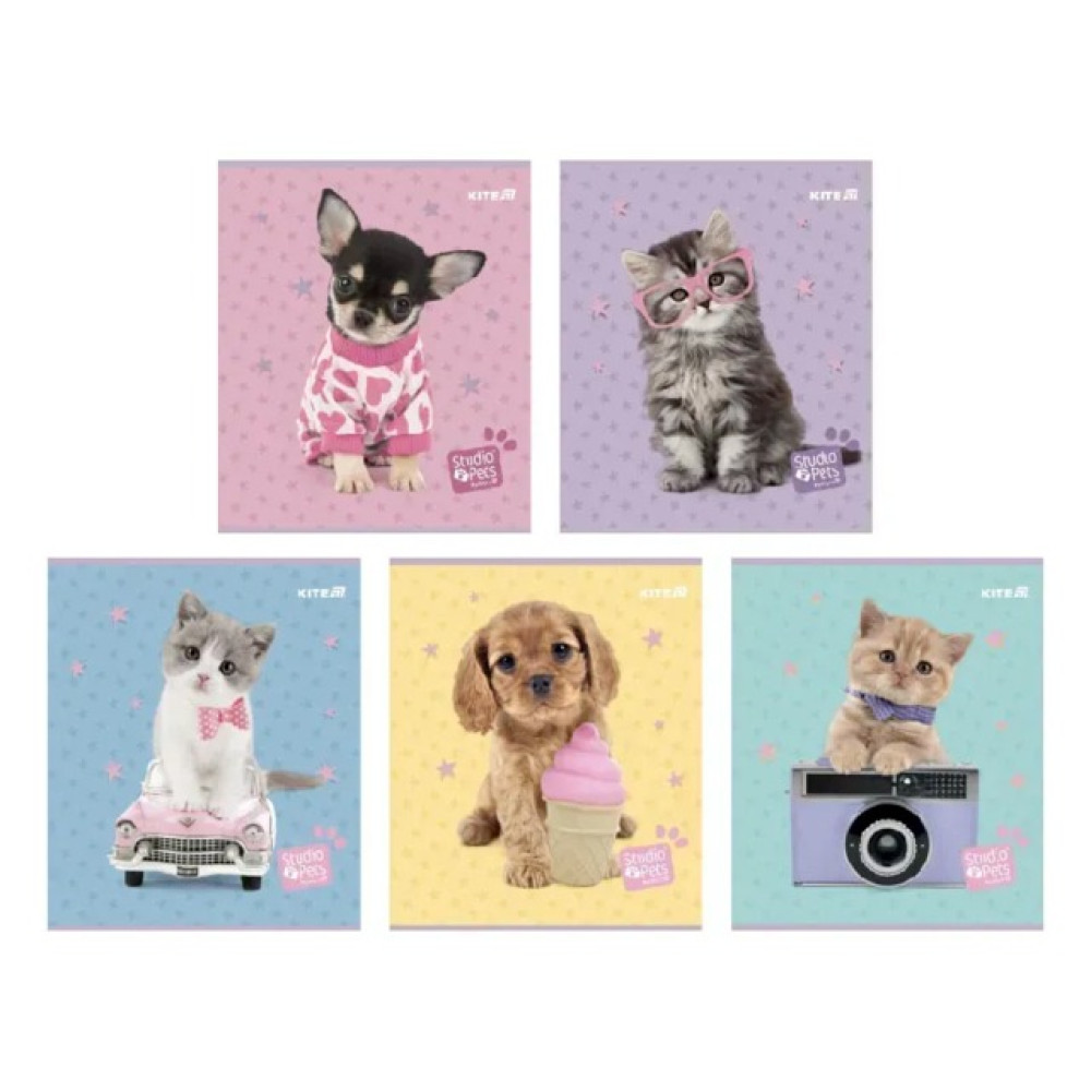 Зошит шкільний Kite Studio Pets 24 аркуші клітинка (SP25-238)